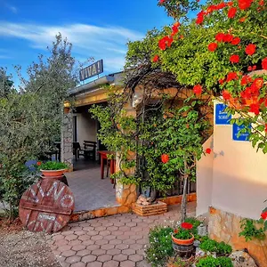book here